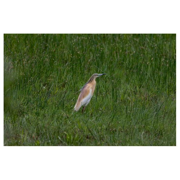 PHOTO84, CLUB, 84 , LUBERON